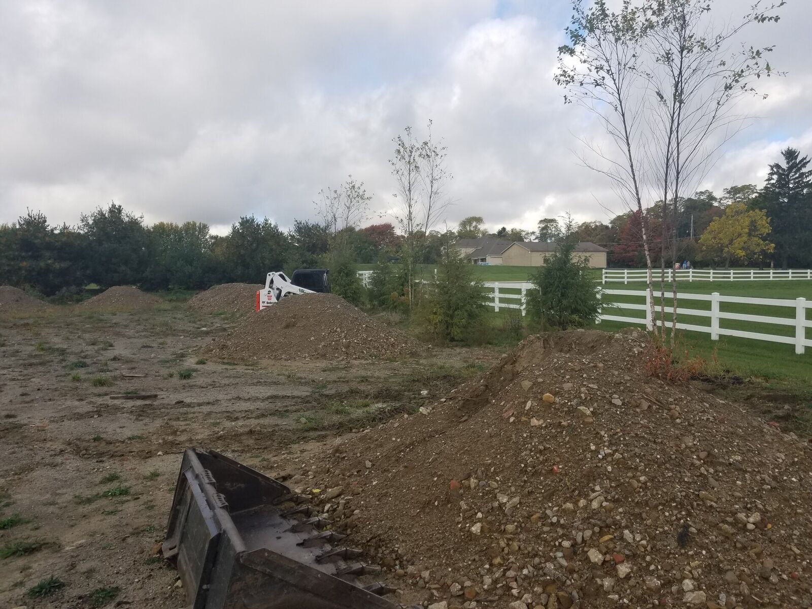 Landscape Design Project 2