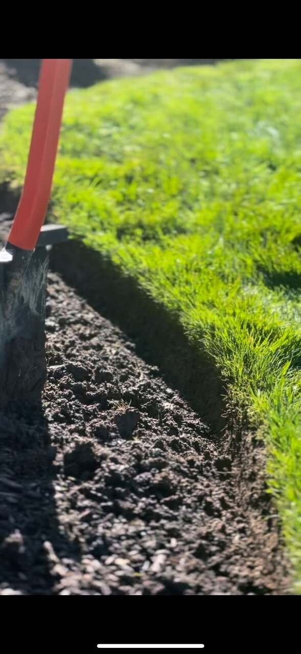 Landscape Design Project 40