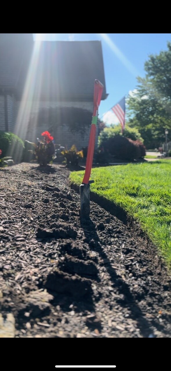 Landscape Design Project 41