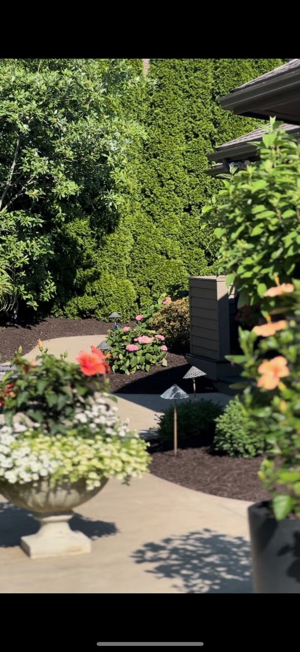 Landscape Design Project 42