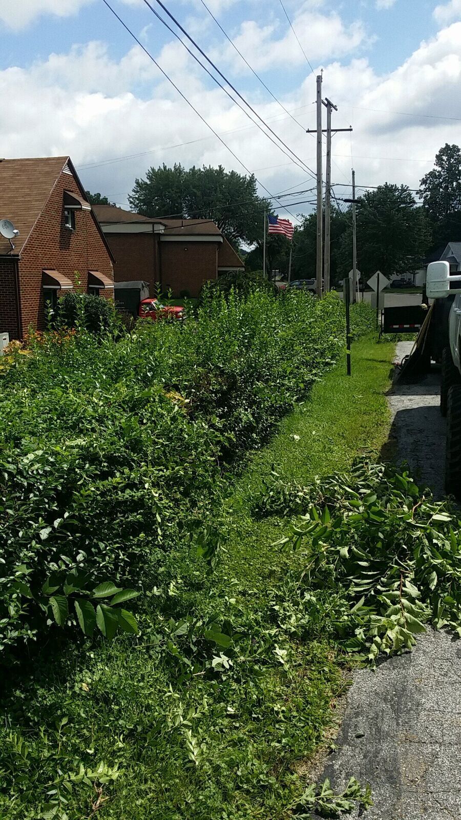 Landscape Design Project 50