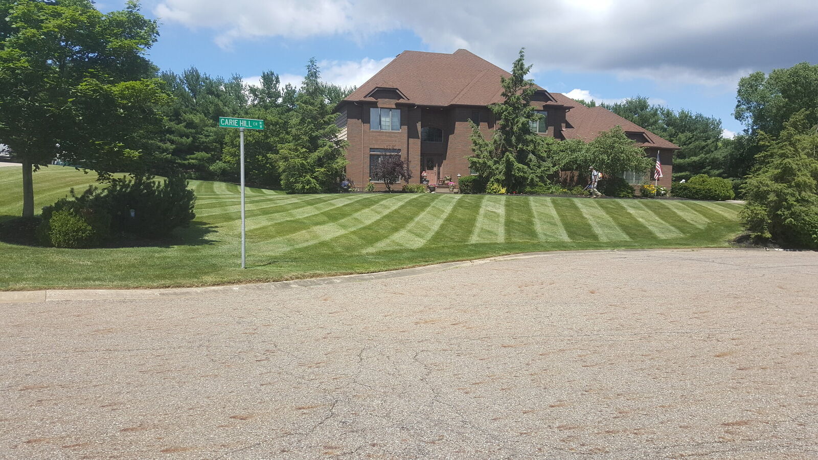 Mowing & Cleanup Service 2