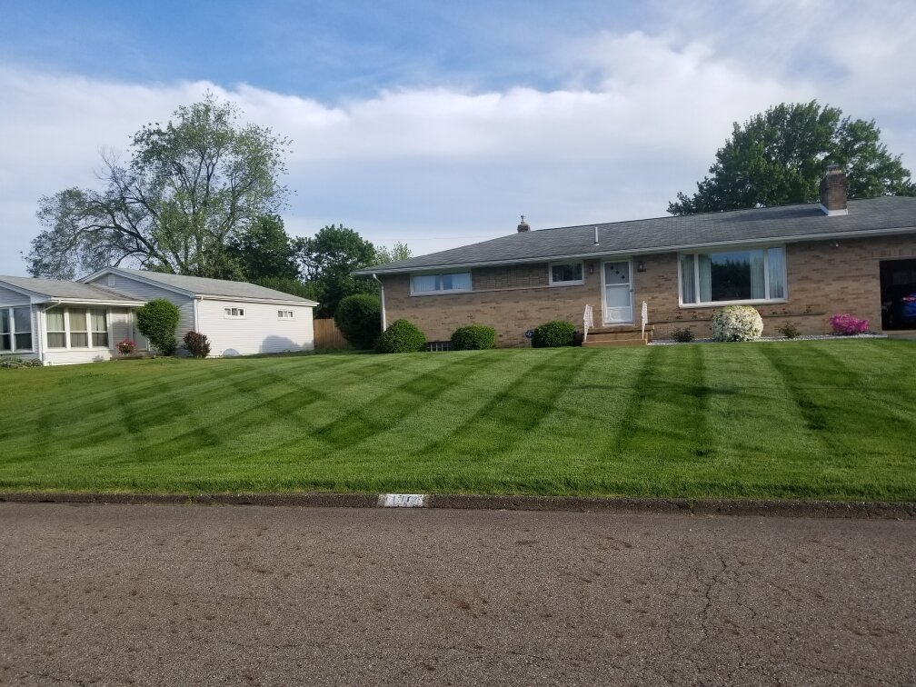 Mowing & Cleanup Service 3