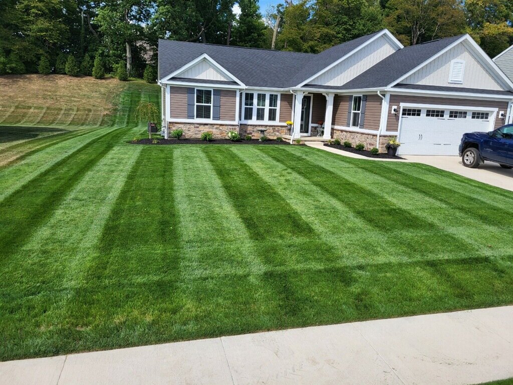 Mowing & Cleanup Service 4