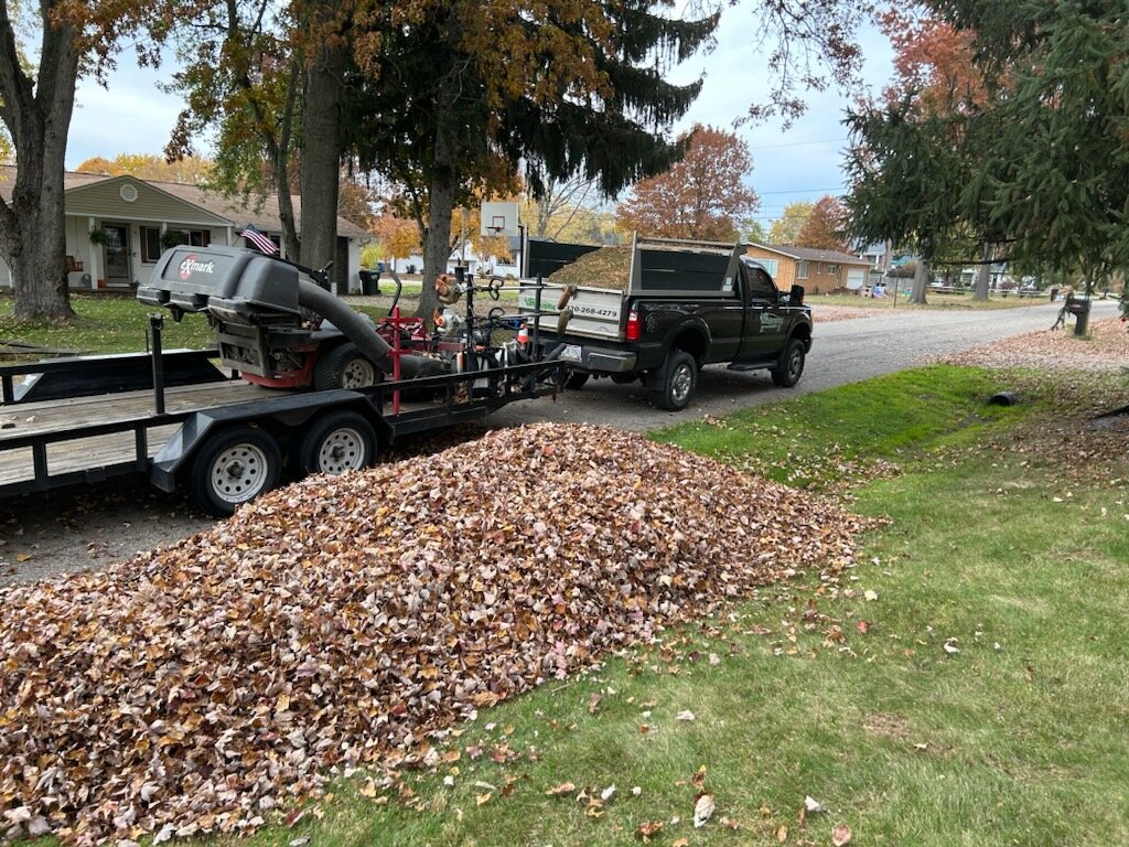 Mowing & Cleanup Service 5