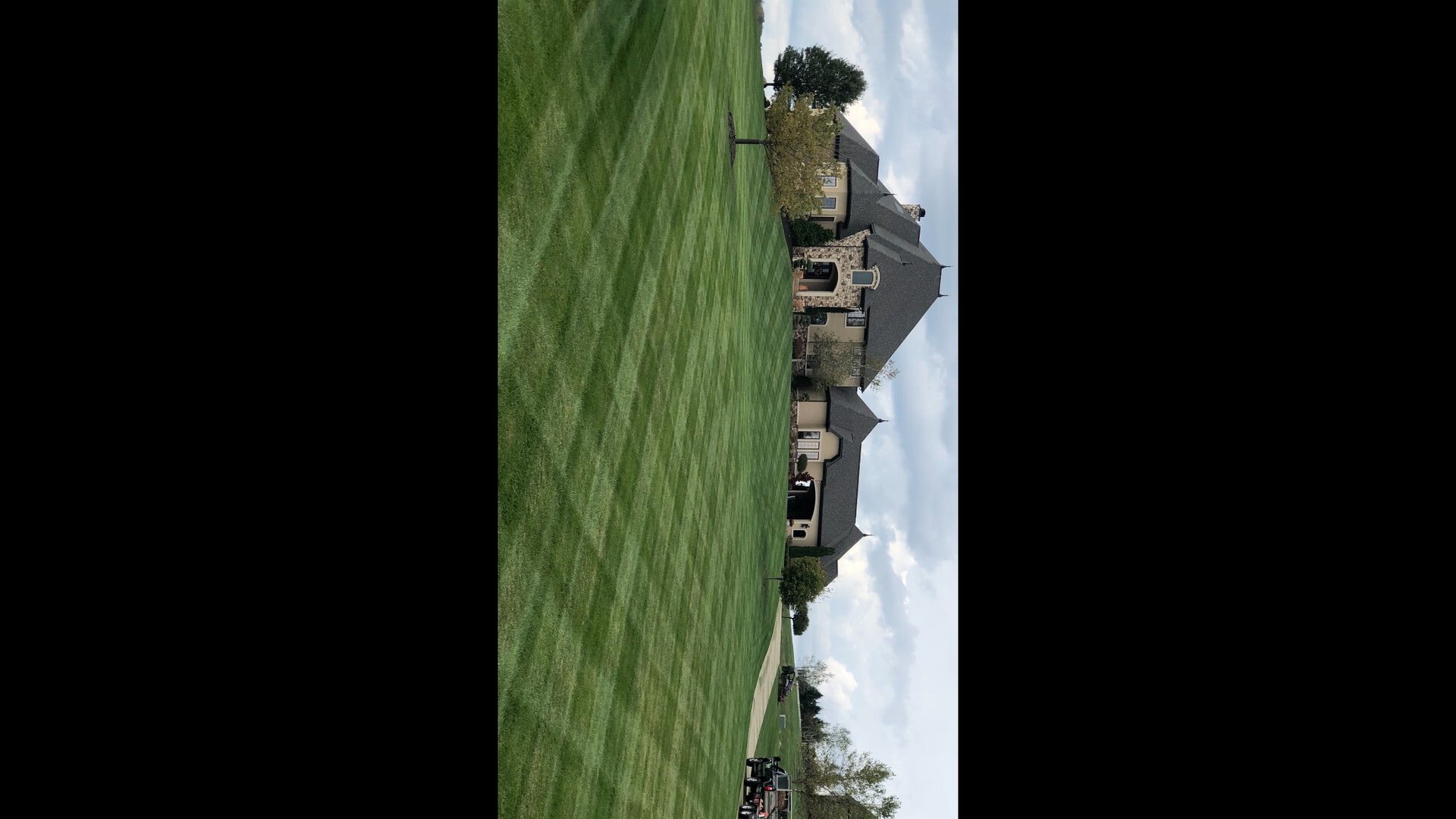 Mowing & Cleanup Service 7