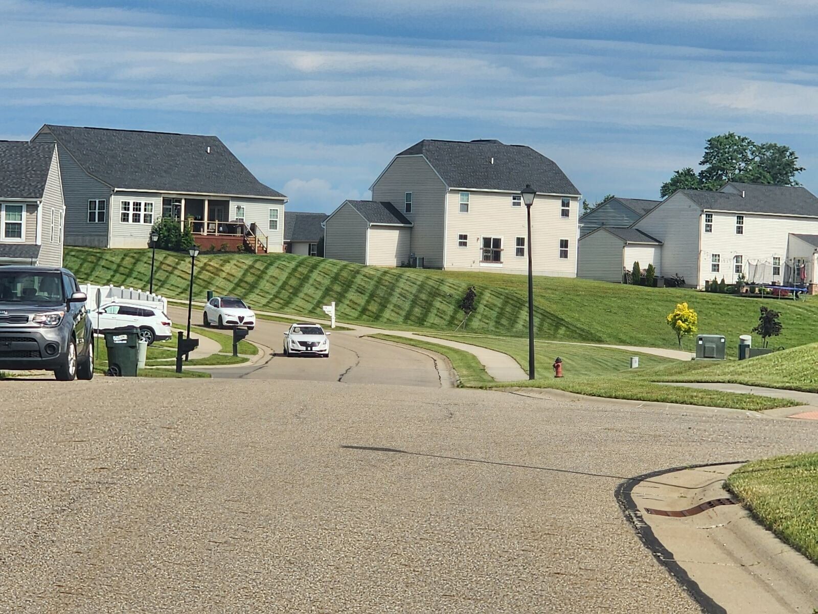 Mowing & Cleanup Service 9