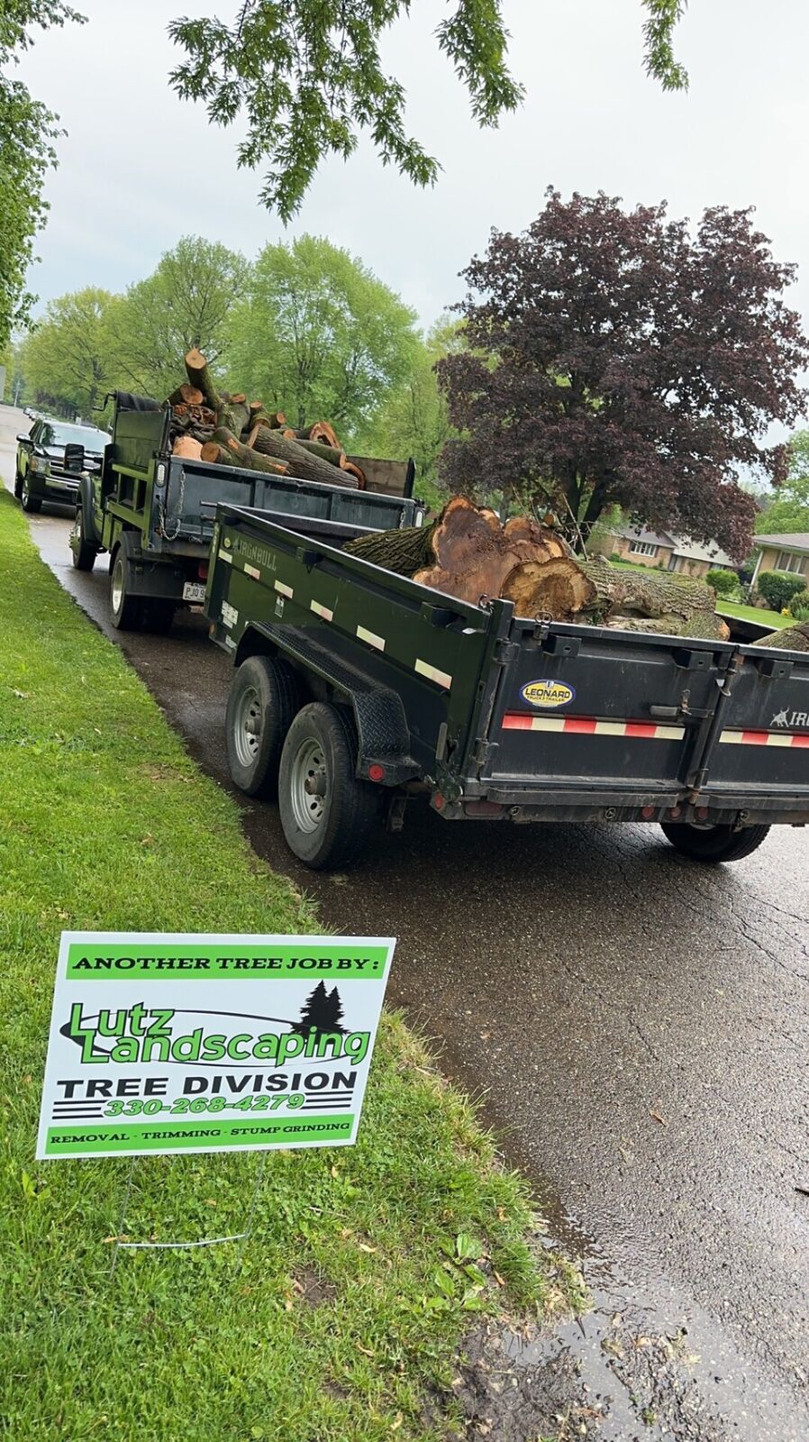 Tree Service 6