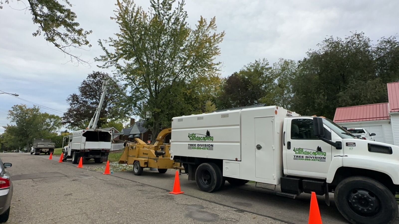 Tree Service 7