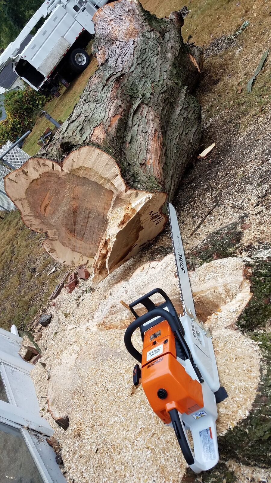Tree Service 2