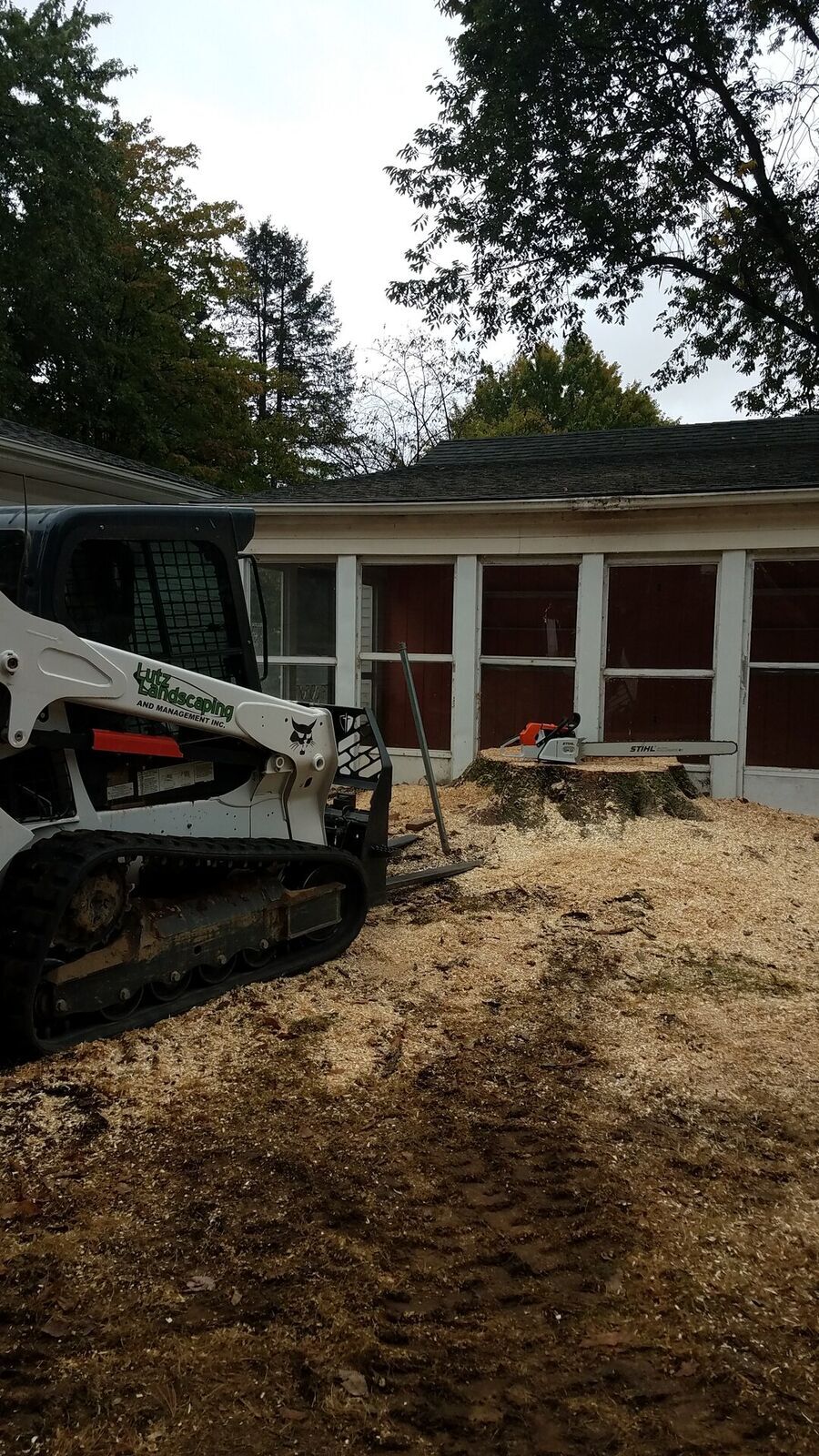 Tree Service 5