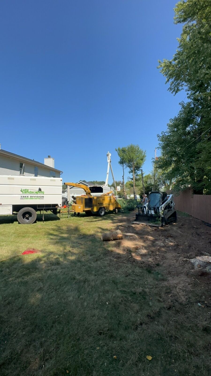 Tree Service 8