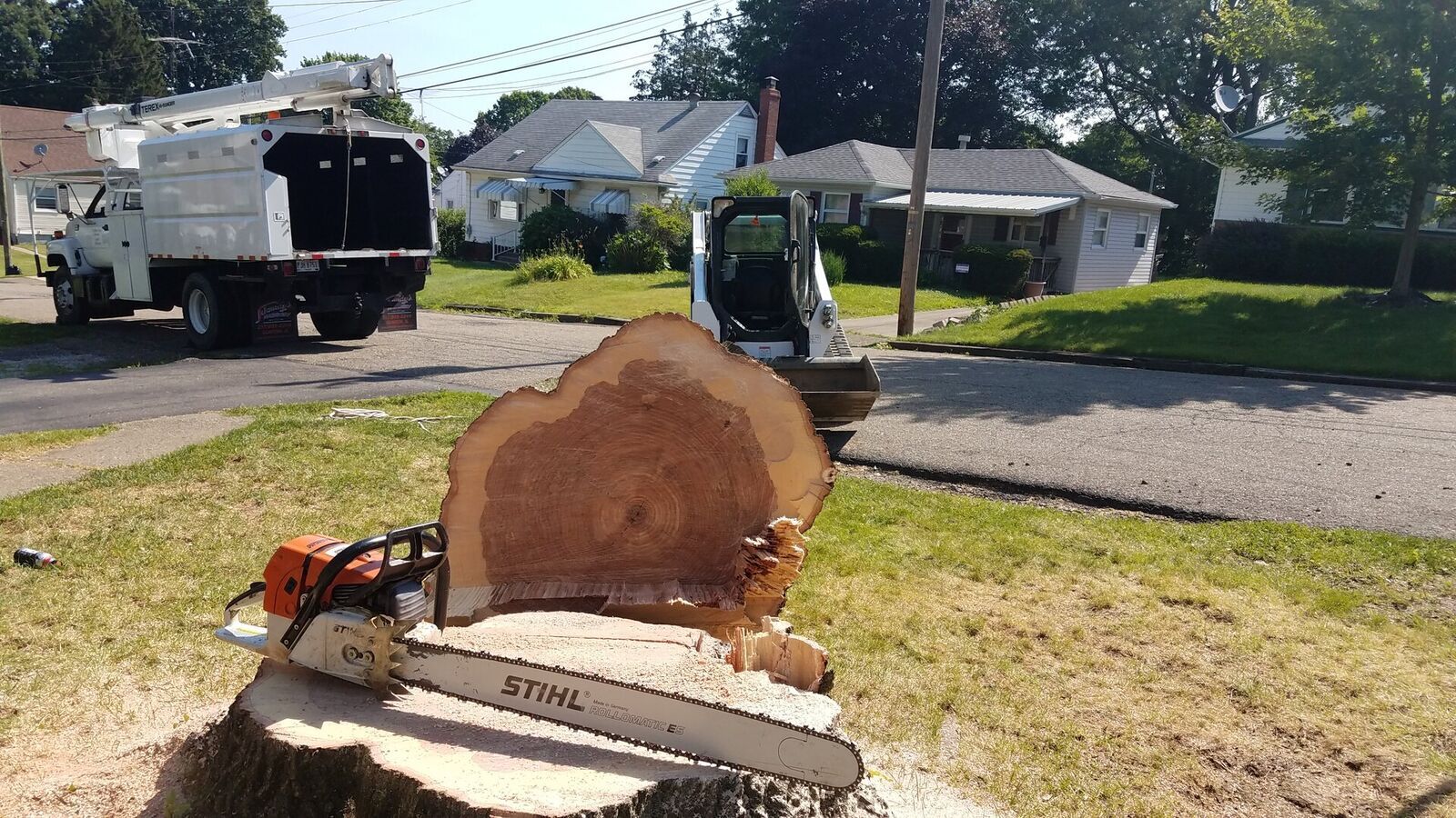 Tree Service 10